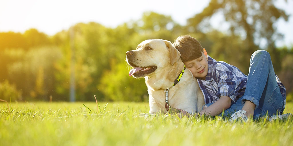 Young boy peacefully leaning on his Labrador in a sunlit field — illustrating trust, comfort, and freedom.