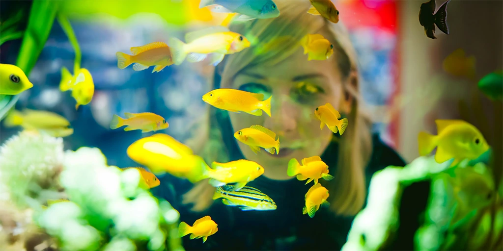 Girl observing colorful tropical fish in an aquarium — a moment of wonder, focus, and calm connection with nature.