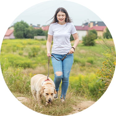 Go for a Walk by </br> Themselves